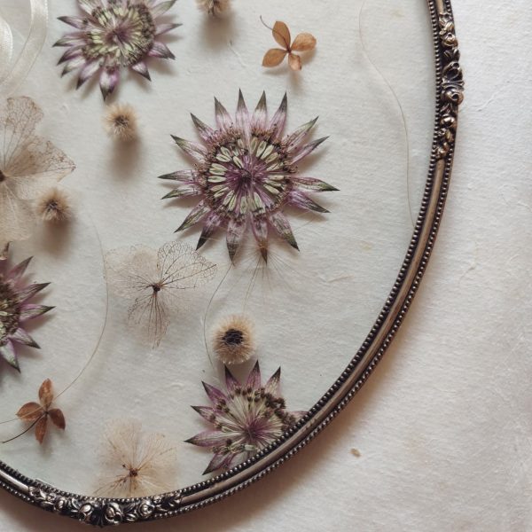 OVAL ASTRANTIA (XL) - Afbeelding 4