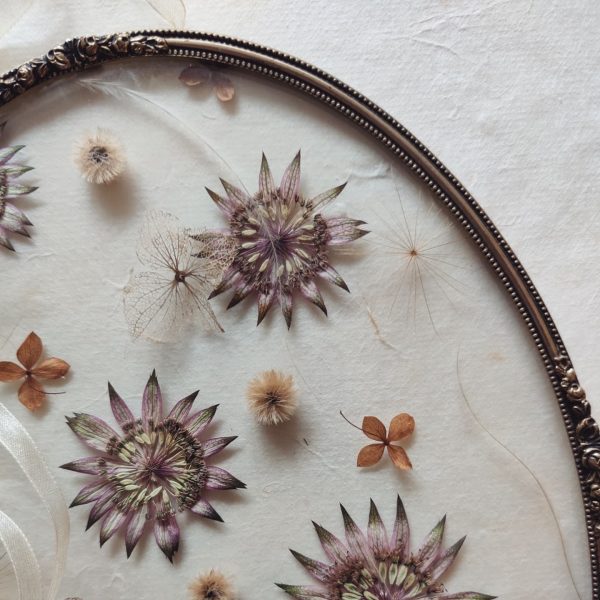 OVAL ASTRANTIA (XL) - Afbeelding 3