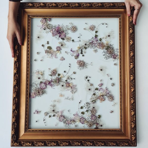 FLOWER ARTWORK "NERINE"