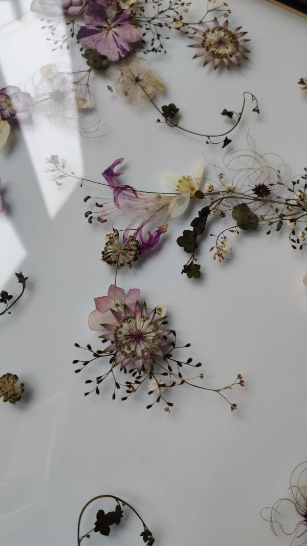 FLOWER ARTWORK "NERINE" - Afbeelding 4