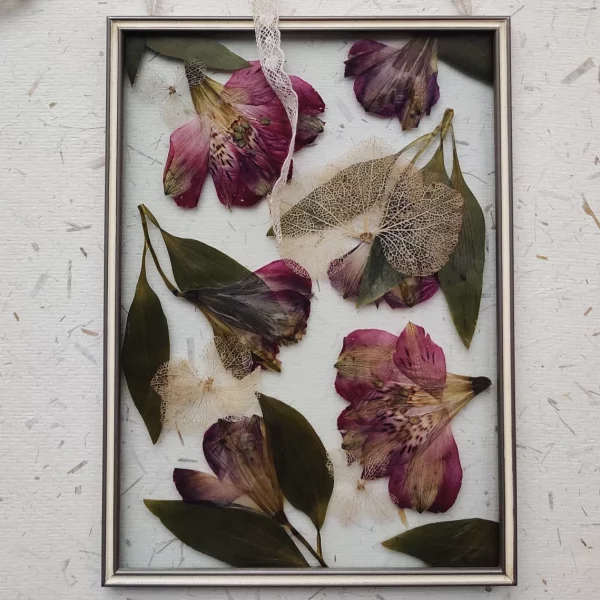 COLLAGE ALSTROEMERIA (M) - Afbeelding 2