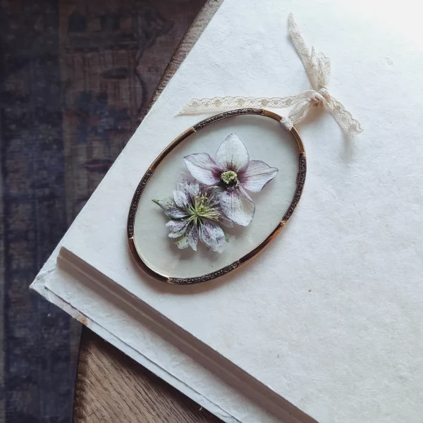 ANTIQUE OVAL HELLEBORE (S)