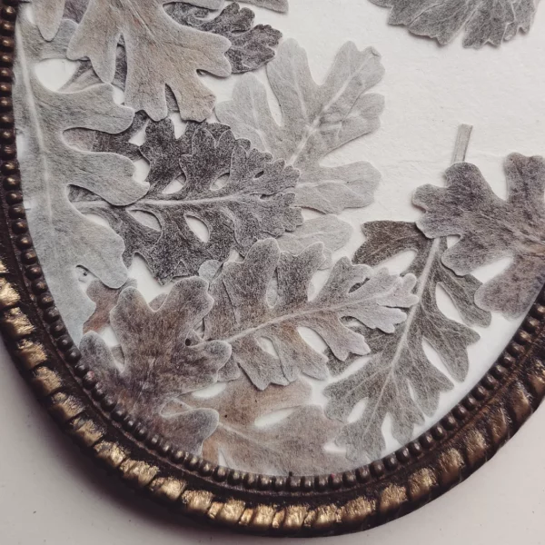 DUSTY MILLER (M) - Afbeelding 3