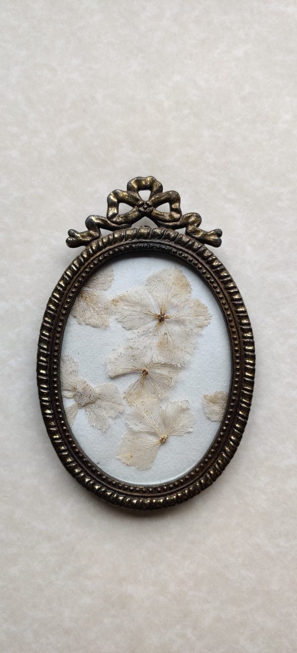 HYDRANGEA SKELETONS (S) - Afbeelding 2