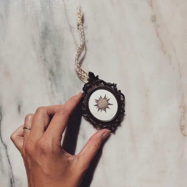 MINI SCABIOSA STAR (XS)