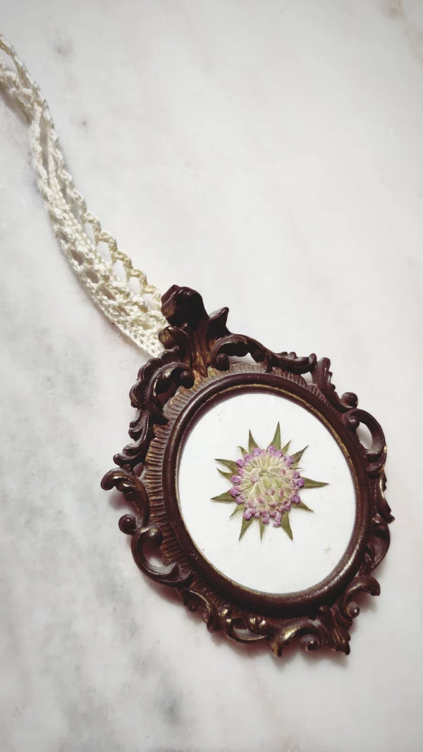 MINI SCABIOSA STAR (XS) - Afbeelding 2