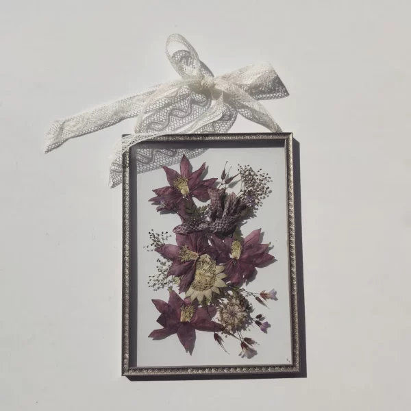 RED COLUMBINE (M) - Afbeelding 2