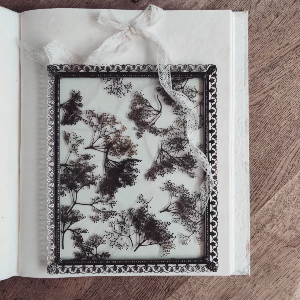 ELDERFLOWER COLLAGE (L) - Afbeelding 2