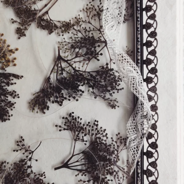 ELDERFLOWER COLLAGE (L) - Afbeelding 3