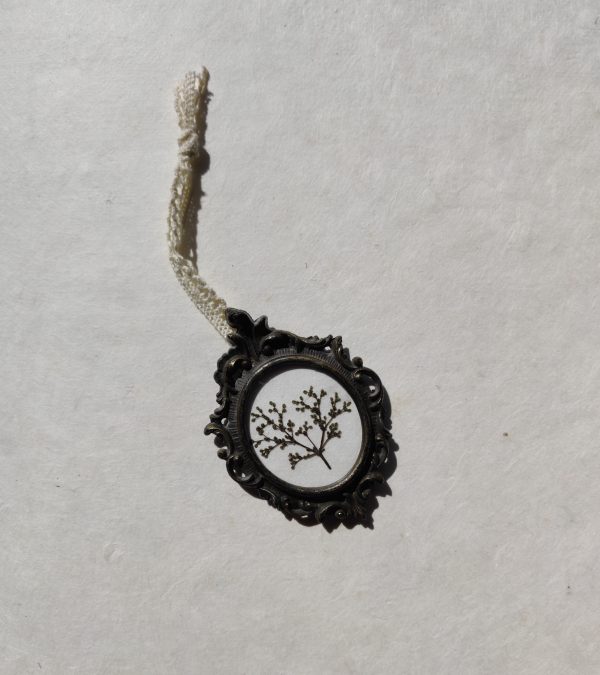 MINI ELDERFLOWER (XS)