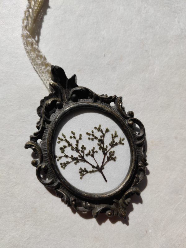 MINI ELDERFLOWER (XS) - Afbeelding 2