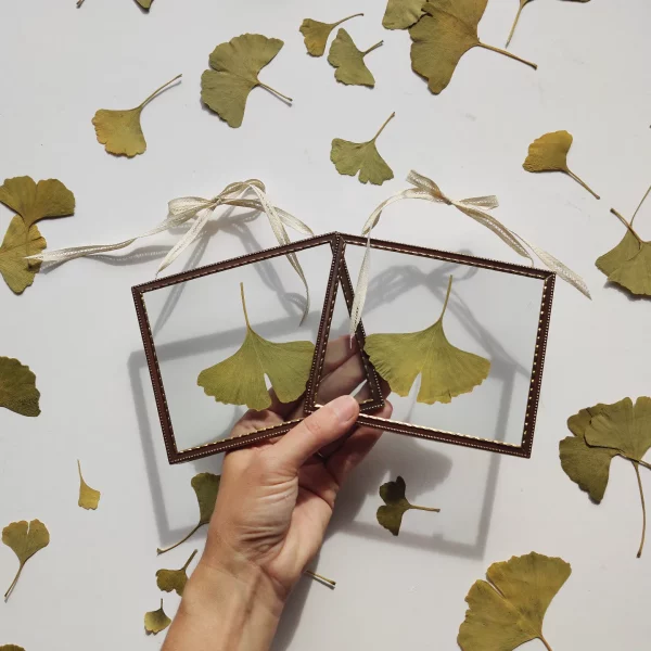 GINGKO FRAMES (S/M)