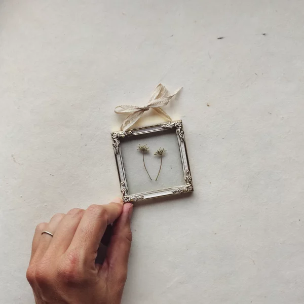TINY FRAME AMMI (XS)