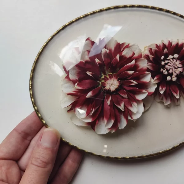 FRENCH ANTIQUE DAHLIA'S (L)