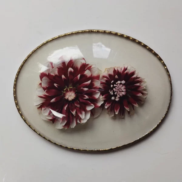 FRENCH ANTIQUE DAHLIA'S (L) - Afbeelding 2
