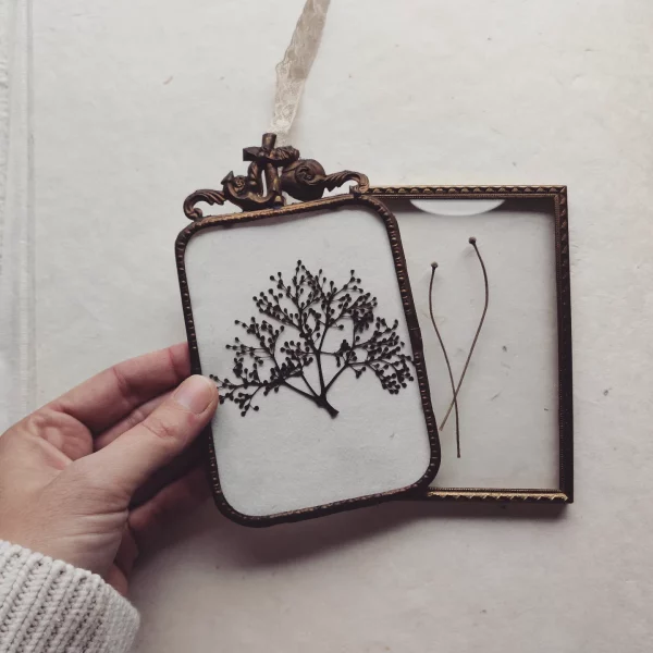 FRENCH ELDERFLOWER (S)