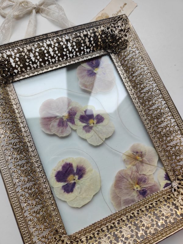 BROCANTE VIOLETS (M) - Afbeelding 2