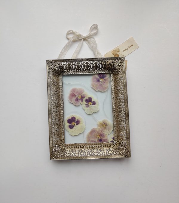 BROCANTE VIOLETS (M)