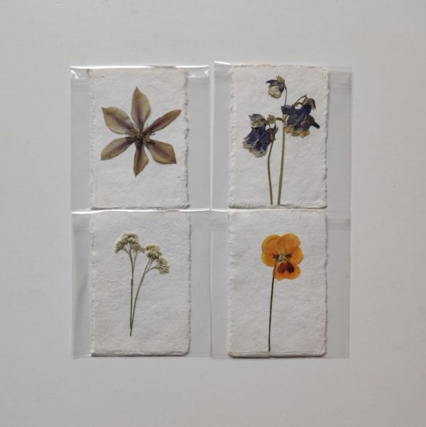 PRESSED FLOWER CARDS (SET 1)