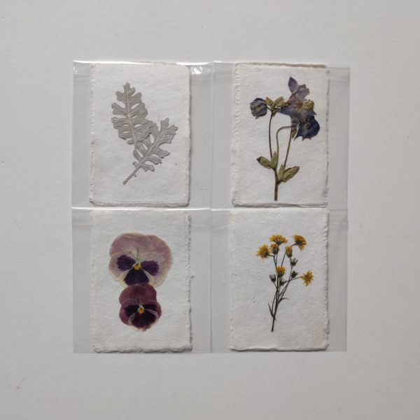 PRESSED FLOWER CARDS (SET 2)
