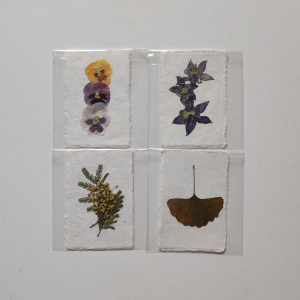 PRESSED FLOWER CARDS (SET 3)