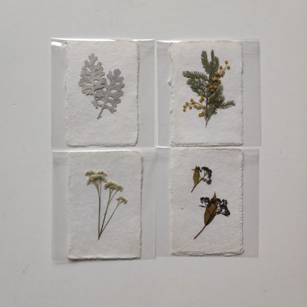 PRESSED FLOWER CARDS (SET 4)