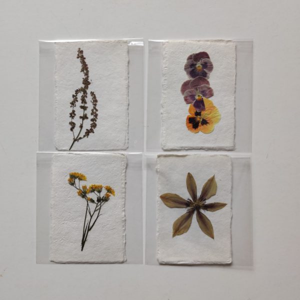 PRESSED FLOWER CARDS (SET 5)
