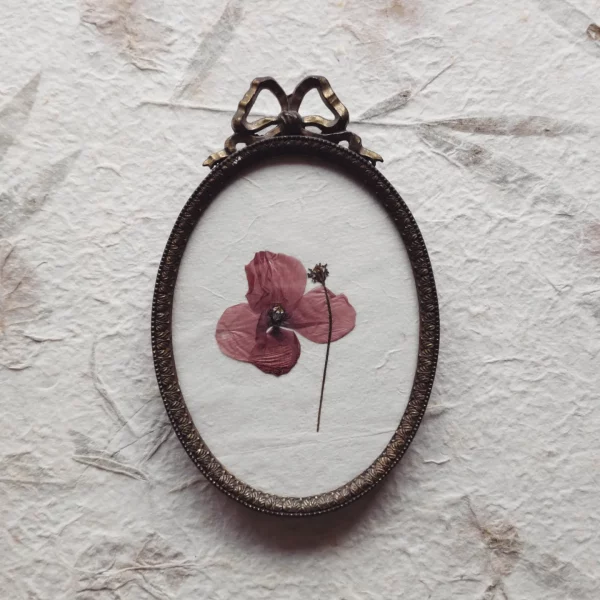 POPPY IN AND OUT (S)