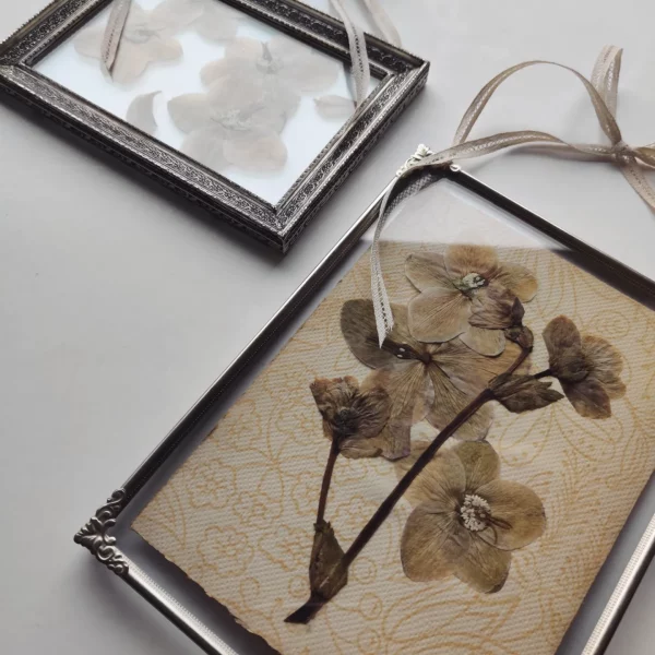 VINTAGE HELLEBORE SET (S/M) - Afbeelding 2