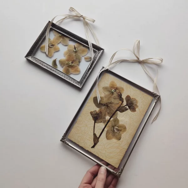 VINTAGE HELLEBORE SET (S/M)