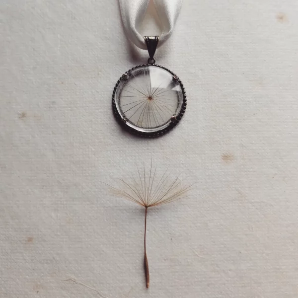 SALSIFY MEDAILLON
