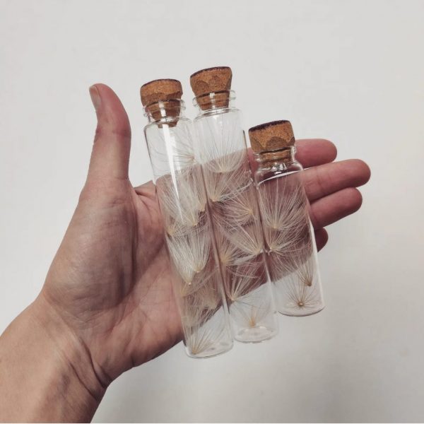 MINI BOTTLES CARDOON