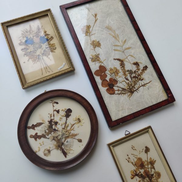 OLD PRESSED FLOWER COLLECTION - Afbeelding 2