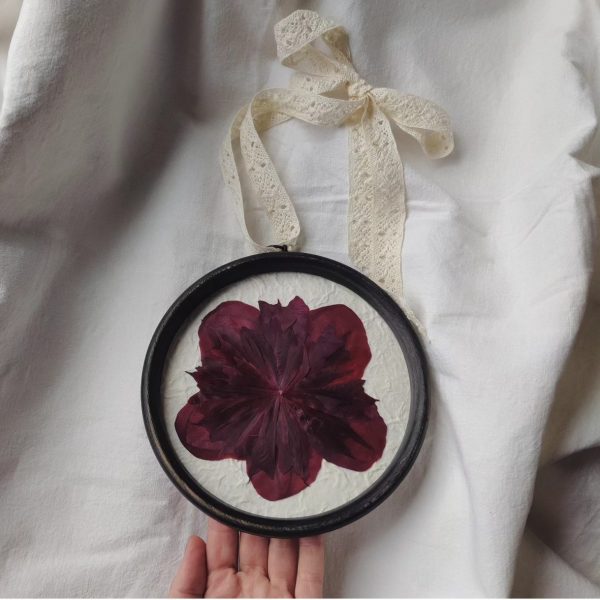 ROUND PEONY (M)