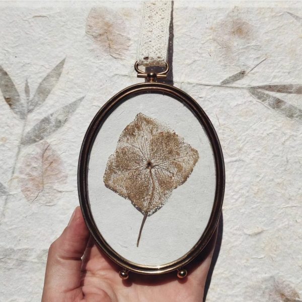 VINTAGE FLOWER (S)