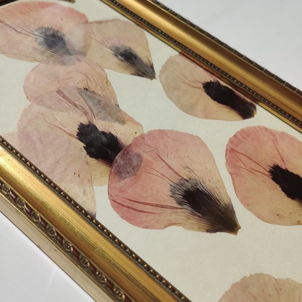 POPPY BALLOONS (XL) - Afbeelding 2