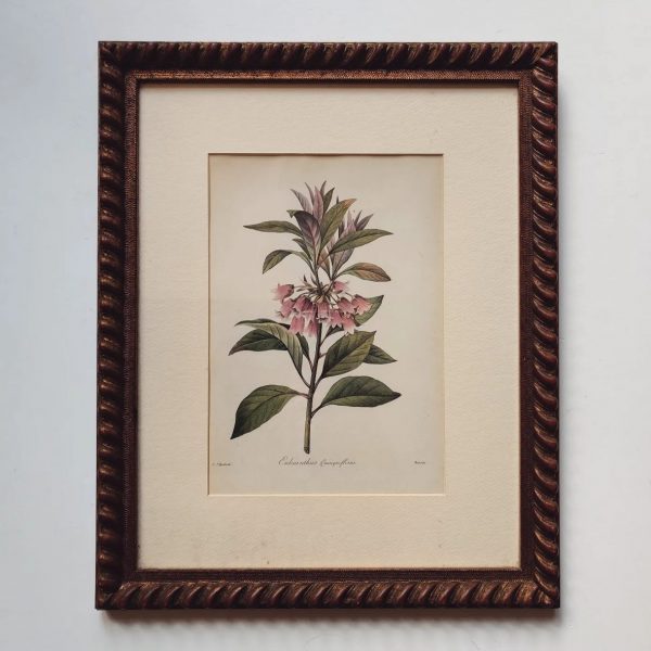 ANTIQUE FLORAL PRINT FRAME (4)