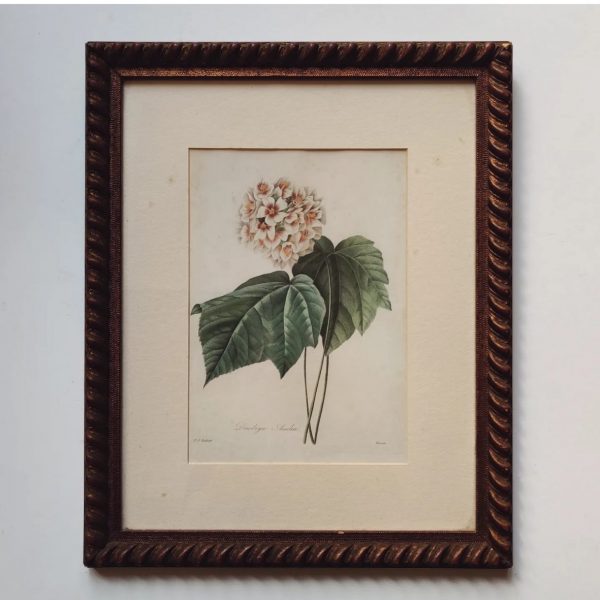 ANTIQUE FLORAL PRINT FRAME (3)