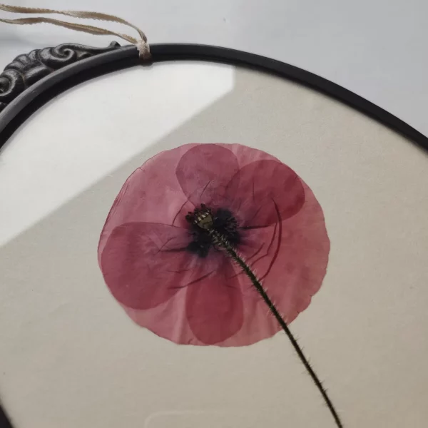 DELICATE POPPY (L) - Afbeelding 2
