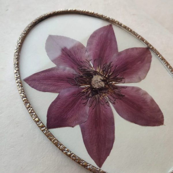 BIG CLEMATIS (M) - Afbeelding 2