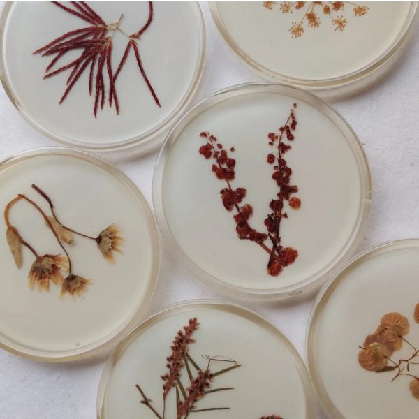 PRESSED FLOWER COASTERS