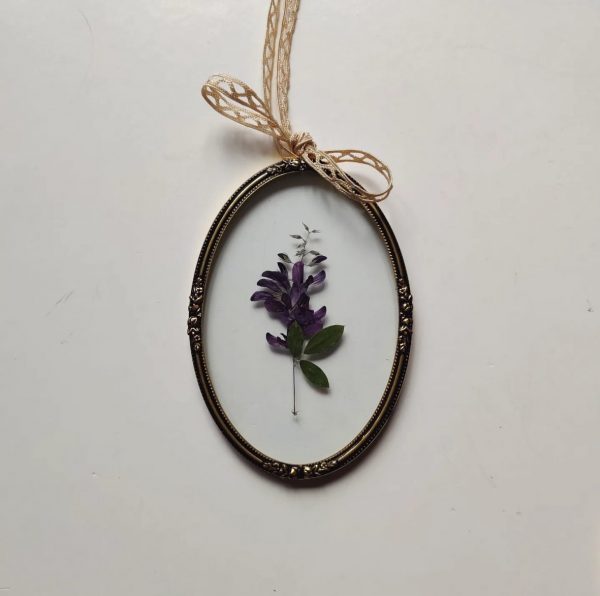 OVAL LESPEDEZA (S)
