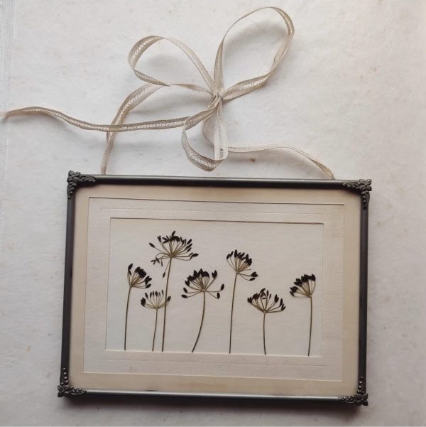 FENNEL PASSE PARTOUT (M)