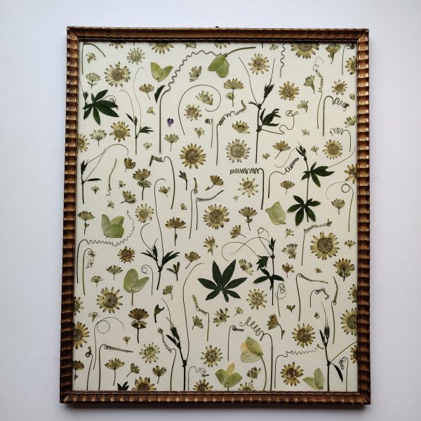 PASSIFLORAL