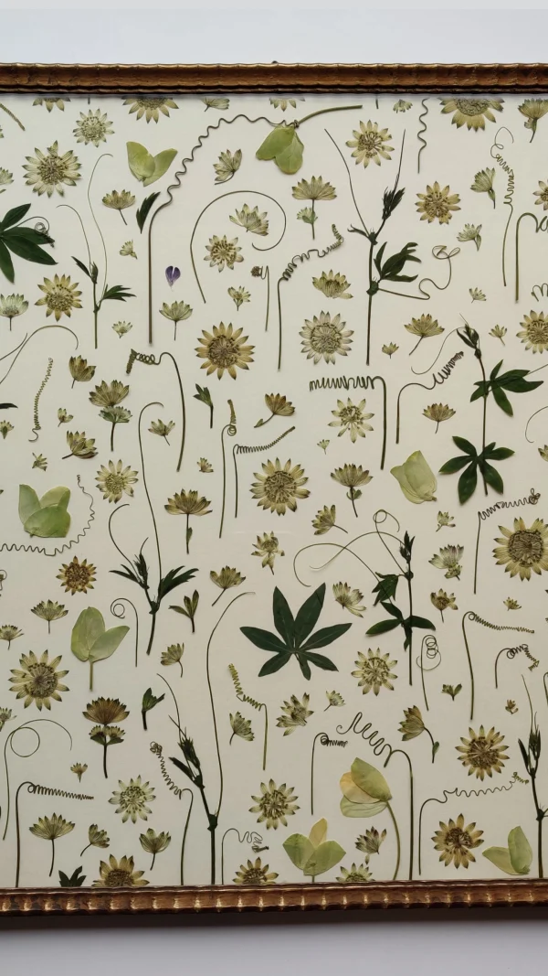 PASSIFLORAL - Afbeelding 4