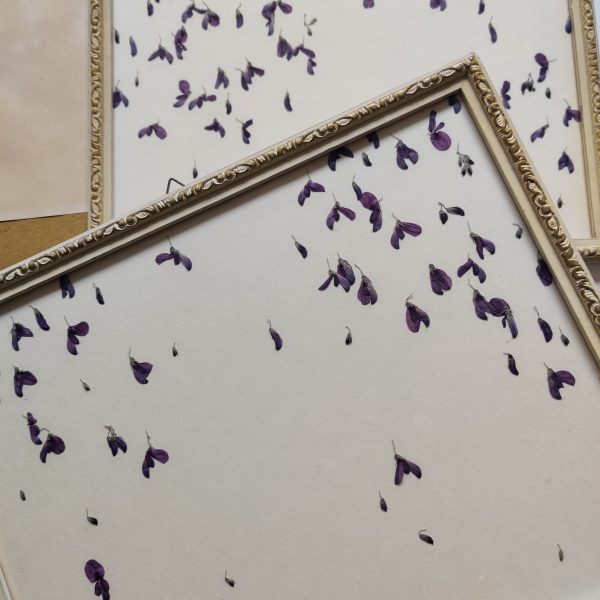 PURPLE RAIN - Afbeelding 3