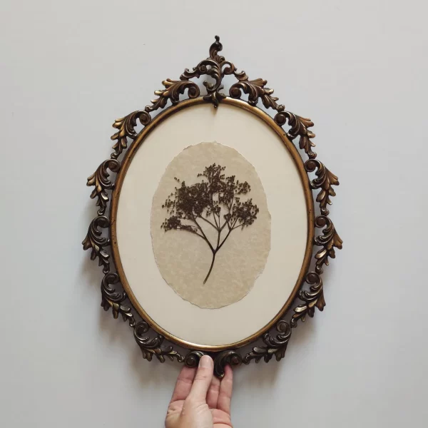 BIG BRASS ELDERFLOWER (XL)