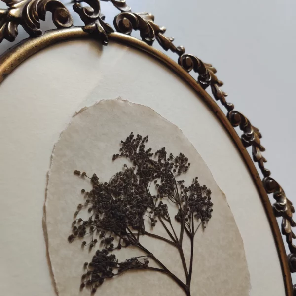 BIG BRASS ELDERFLOWER (XL) - Afbeelding 2