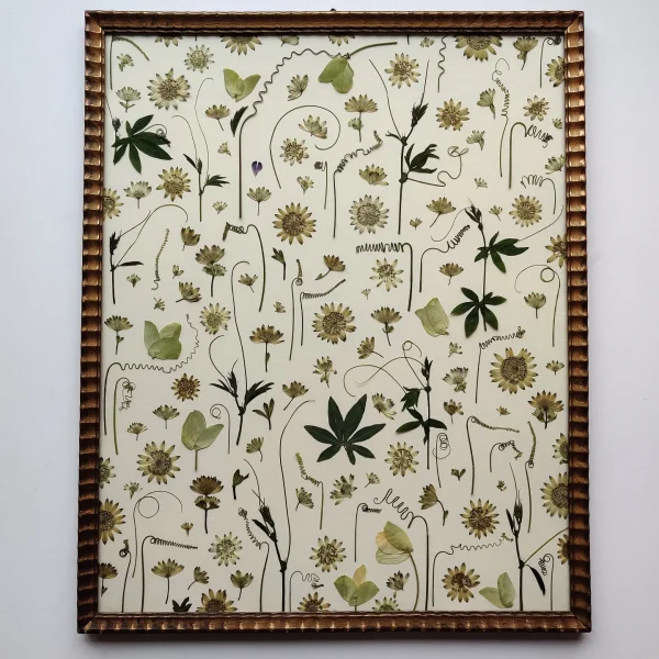 PASSIFLORAL - Afbeelding 3