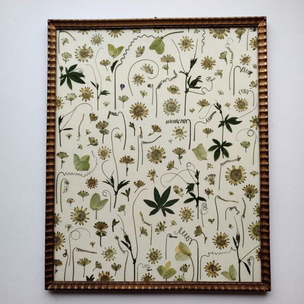 PASSIFLORAL - Afbeelding 2